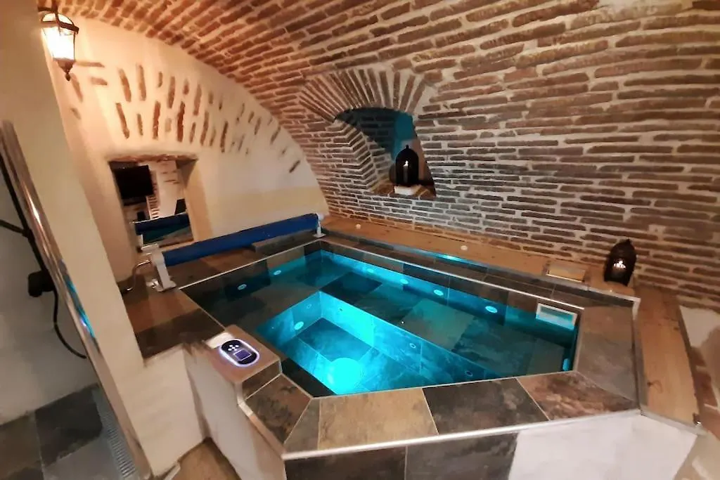 Studio Et Spa Privatif Le Puits De La Grace Albi Lejlighed