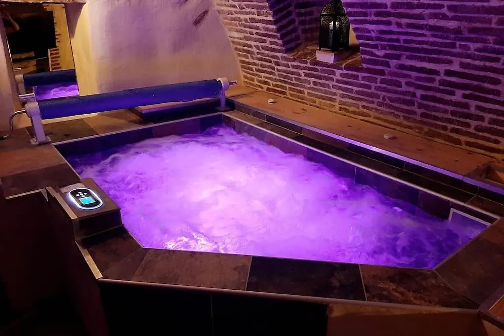 Lejlighed Studio Et Spa Privatif Le Puits De La Grace Albi Frankrig