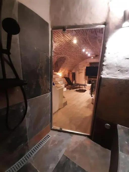 Lejlighed Studio Et Spa Privatif Le Puits De La Grace Albi