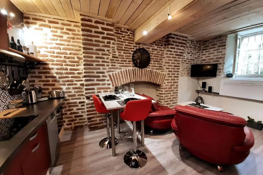 Studio Et Spa Privatif Le Puits De La Grace Albi Lejlighed