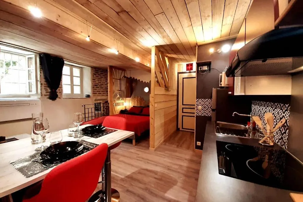 Studio Et Spa Privatif Le Puits De La Grace Albi 0*,
