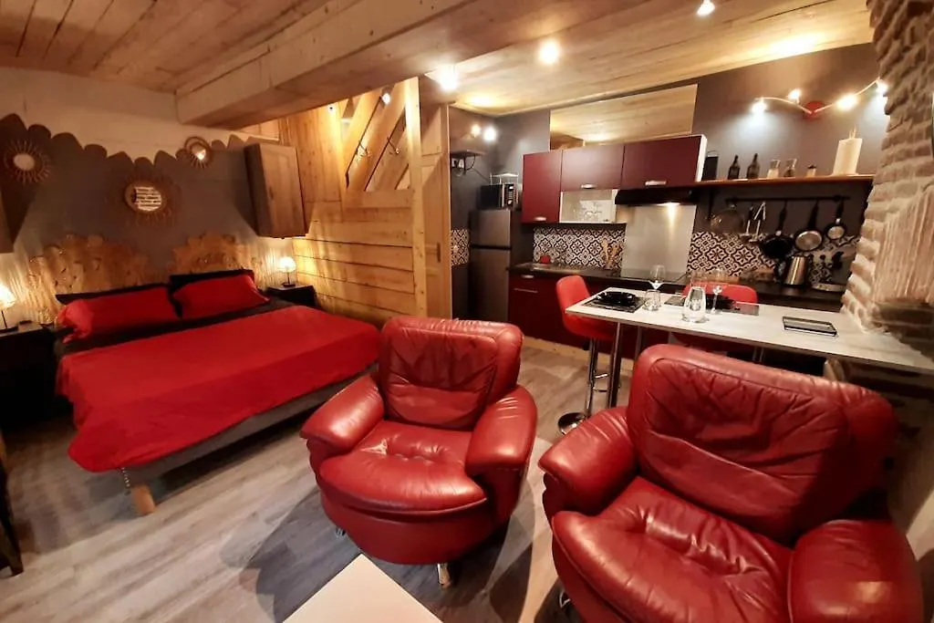 Studio Et Spa Privatif Le Puits De La Grace Albi 0*,