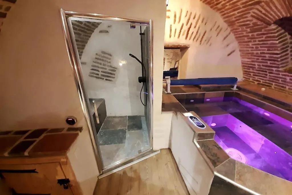 Studio Et Spa Privatif Le Puits De La Grace Albi Frankrig