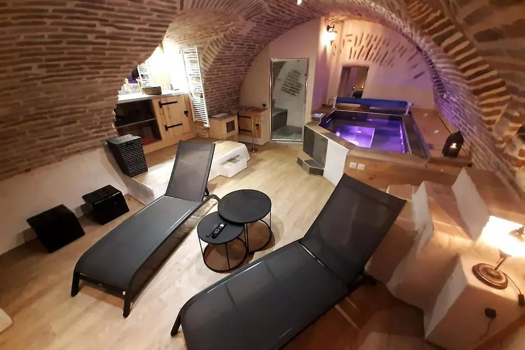 Studio Et Spa Privatif Le Puits De La Grace Albi Frankrig